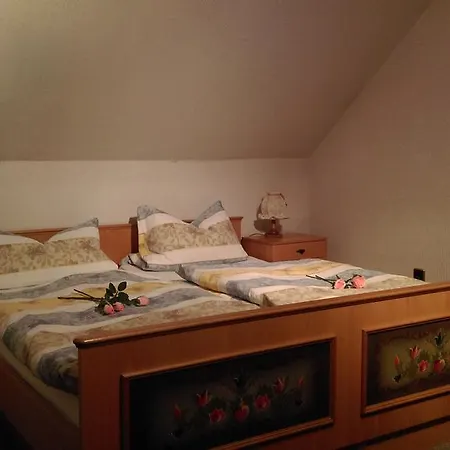 Haus Schnorbus Affittacamere Hallenberg